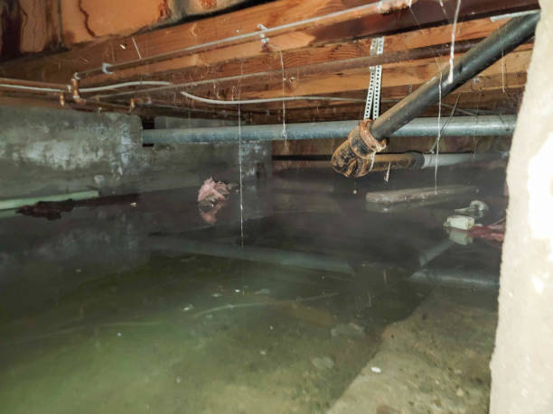 Best Basement water damage restoration  in Solvang, CA