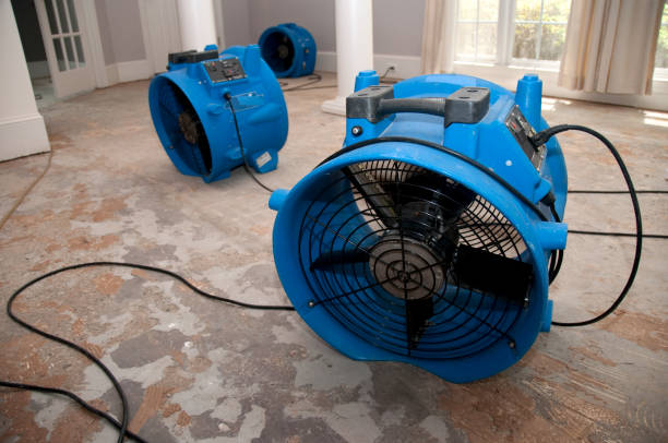 Best Fire Damage Restoration  in Solvang, CA