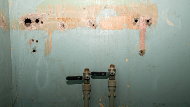 Best Emergency water damage restoration  in Solvang, CA