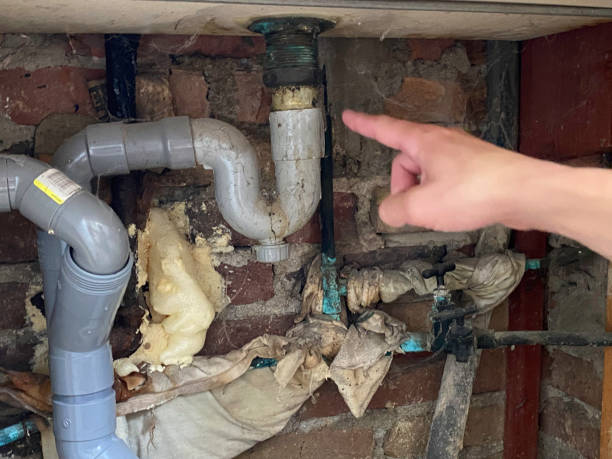 Best Water damage restoration specialists  in Solvang, CA