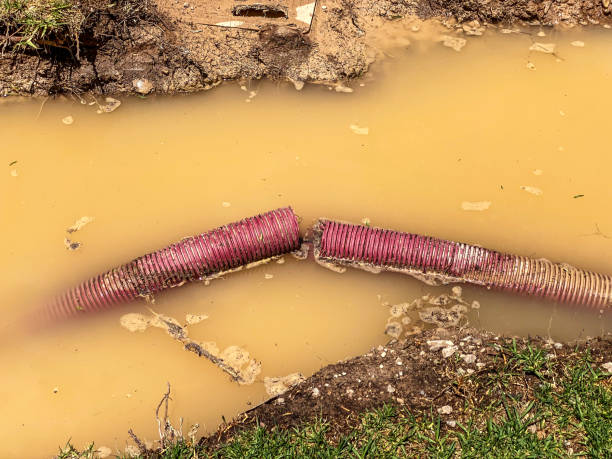 Best Professional water damage repair  in Solvang, CA
