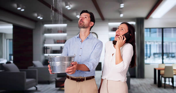 Best Mold removal after water damage  in Solvang, CA